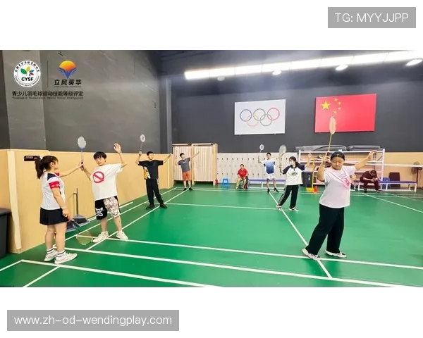 羽毛球击球之家