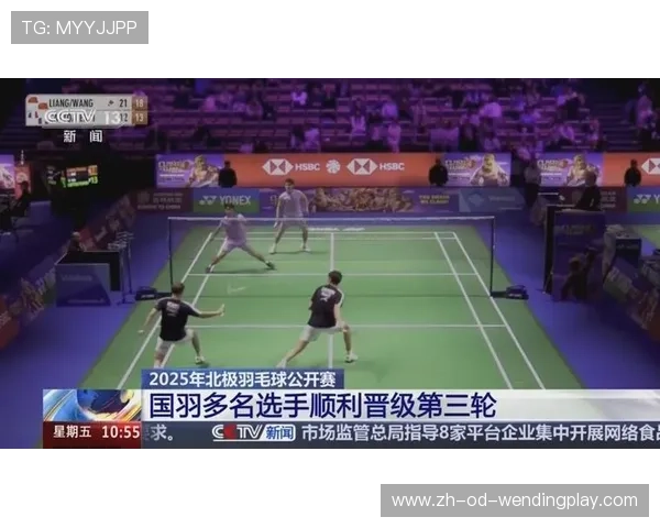 羽毛球视频全集直播