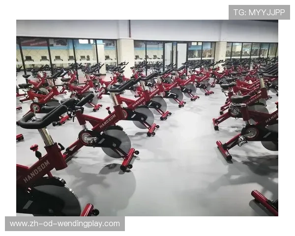 进口健身器材品牌排行榜:进口健身器材品牌排名与推荐