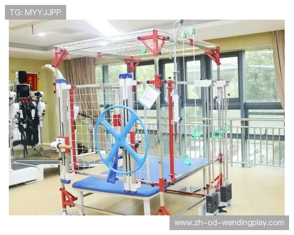 高龄群体功能性训练器械创新方向 高龄群体功能性训练器械创新方向